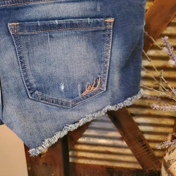 Express shorts - Picture 3 of 6